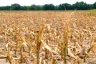 Why Global Warming Is Now an Economic Tax on the Middle Class | TriplePundit | The EcoPlum Daily | Scoop.it