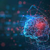 Cybersecurity Leadership