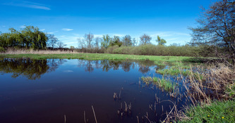La loi d'urgence agricole se confronte aux enjeux de la politique de l'eau | Environnement - D&eacute;veloppement durable - Climat | Scoop.it