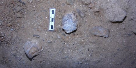 Hallan m&aacute;s de 50 herramientas de s&iacute;lex de hasta un mill&oacute;n de a&ntilde;os de antig&uuml;edad | History 2[+or less 3].0 | Scoop.it