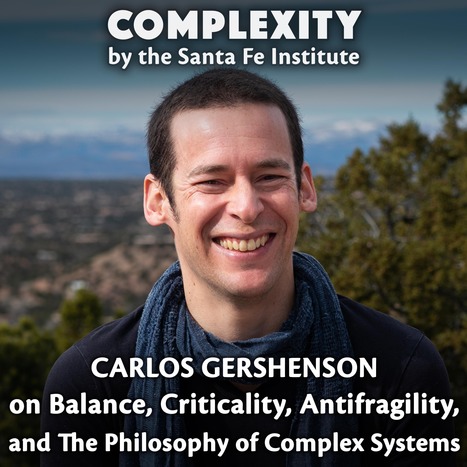 Carlos Gershenson on Balance, Criticality, Antifragility, and The Philosophy of Complex Systems | Talks | Scoop.it