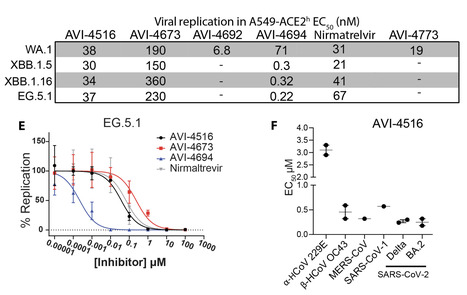 Structure-Based Discovery of Highly Bioavailable, Covalent, Broad-Spectrum Coronavirus MPro Inhibitors with Potent in Vivo Efficacy | Virus World | Scoop.it
