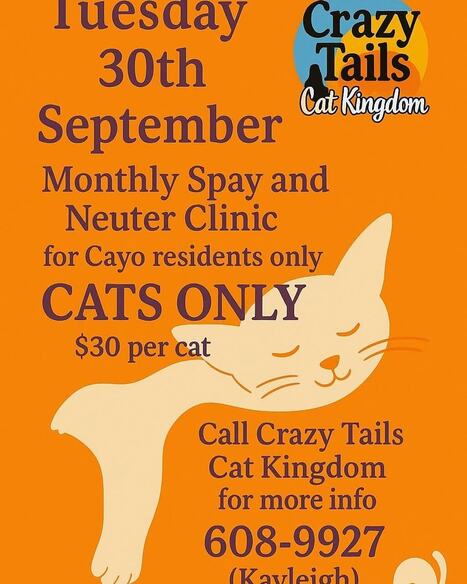 Crazy Tails Cat Clinic 30-Sep-25 | Cayo Scoop!  The Ecology of Cayo Culture | Scoop.it
