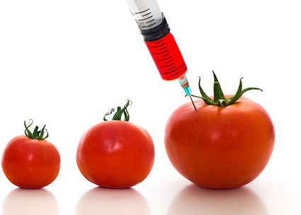 Los 10 alimentos que causan cáncer | PIENSA en VERDE | Scoop.it