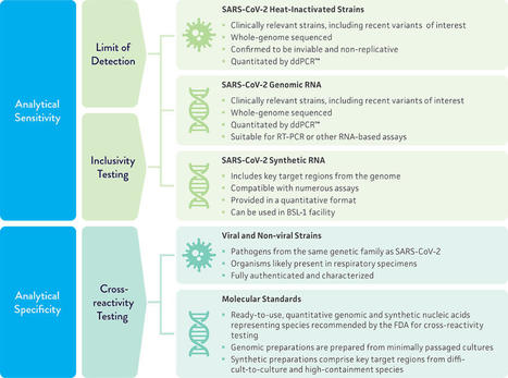 SARS-CoV-2 Molecular Diagnostics Development | ATCC | In-Vitro Diagnostic | Scoop.it
