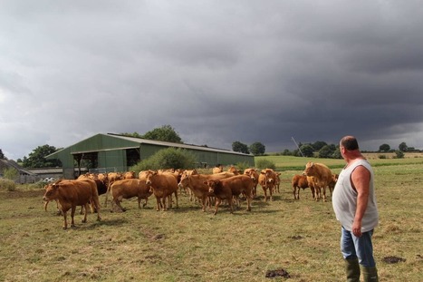 La filière bovine française secouée par la crise sanitaire | Actualité Bétail | Scoop.it