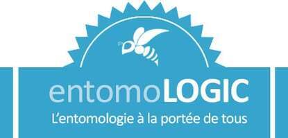 L'entomologie &agrave; la port&eacute;e de tous | Insect Archive | Scoop.it