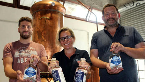 Luz-Saint-Sauveur. La Distillerie d’Occitanie propose du gin made in Pays Toy | Luz Tourisme | Scoop.it
