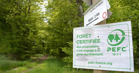 Franche-Comt&eacute;. PEFC : que cache ce label qui promet de verdir la for&ecirc;t ? | Revue de presse | L'habitat & son environnement dans le Doubs : Architecture. Urbanisme. Environnement. Paysage. Logement | Scoop.it