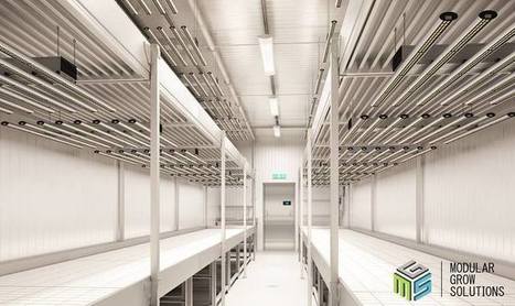 Commercial Grow Room Design In Modular Grow Solutions