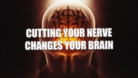 Cutting Your Nerve Changes Your Brain | El Paso, TX. | Spine Health & Spinal Hygiene | Scoop.it