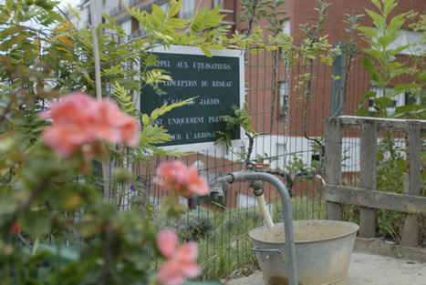 Pour tout savoir sur l'Agriculture urbaine dans Paris | ESPACES VEGETALISES URBAINS | Scoop.it