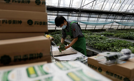 CHINA: A new plan to boost consumption of agricultural products | ASIES | Scoop.it
