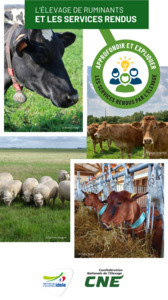 L'élevage de ruminants et les services rendus - IDELE | Pour innover en agriculture | Scoop.it
