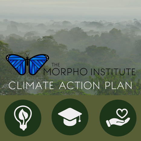 Take Climate Action with the Morpho Institute  | RAINFOREST EXPLORER | Scoop.it