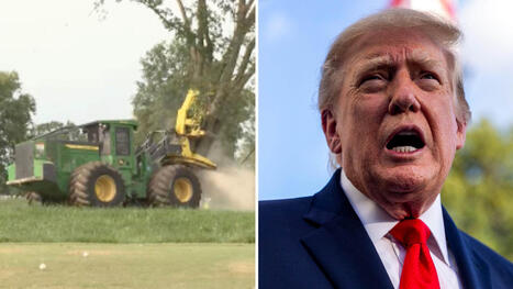 Trumps nya bakslag &ndash; planen stoppas | A1Uutiset | Scoop.it