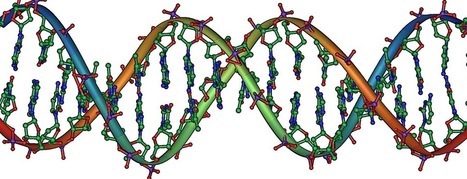 Listening to the Genome: Music or Noise? | Science News | Scoop.it