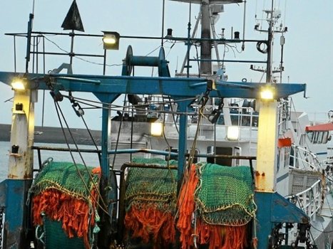 Compte à rebours pour défendre la pêche en mer Celtique - Économie - LeTelegramme.fr | HALIEUTIQUE MER ET LITTORAL | Scoop.it