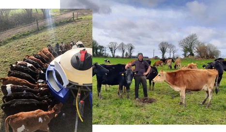 [Témoignage] « Sans bâtiment pour mes vaches, je mise sur un système low cost à la néozélandaise » | Lait de Normandie... et d'ailleurs | Scoop.it