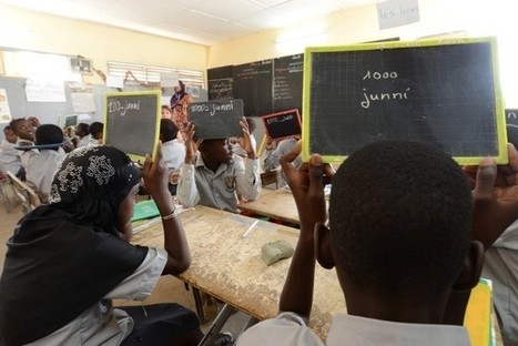Dubai Cares to invest Dh4.9m into Senegal bilingual education programme | The National | Language Education Outside the U.S. | Scoop.it