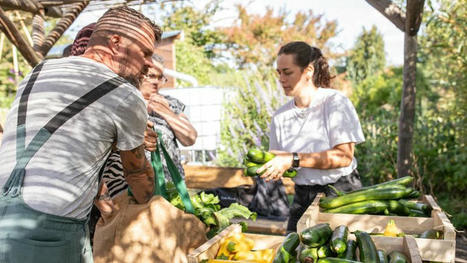 Nantes Paysagers nourriciers, jardiner pour mieux manger | L'actualité des quartiers politique de la ville de Bretagne et Pays de la Loire | Scoop.it