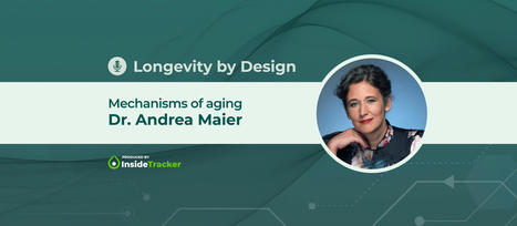 Dr. Andrea Maier—Mechanisms of Aging | LongevityBluePrintRx | Scoop.it