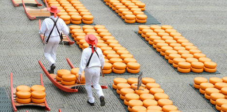 Vous aimez les micro-brasseries, vous allez adorer les micro-fromageries - The con | Pour innover en agriculture | Scoop.it