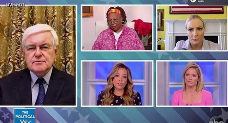 The View hammers Gingrich for agreeing with GOP claim nurses will abandon work to get unemployment checks &ndash; Raw Story | Backstabber Watch | Scoop.it