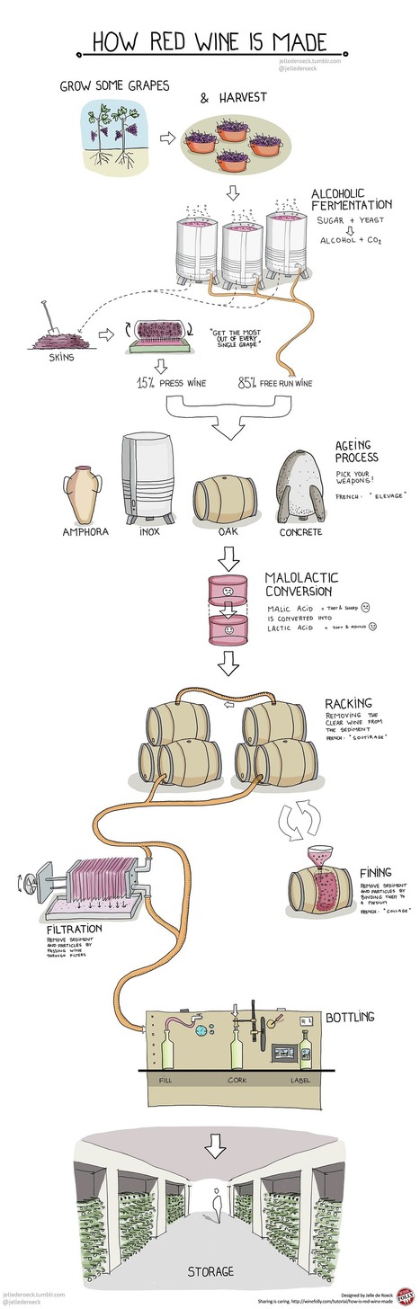 How is Red Wine Made? | Wine Folly | Good Things From Italy - Le Cose Buone d'Italia | Scoop.it