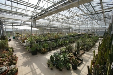 Santé : plus de 28000 plantes ont des propriétés médicinales | Ecologie & société | Scoop.it