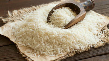 MALI Launches US$24M Plan to Scale Up Rice Production, Strengthen Food Sovereignty | SRI Global News: Nov. 2024 - Jan. 2025  *SRI-Rice  --     System of Rice Intensification | Scoop.it