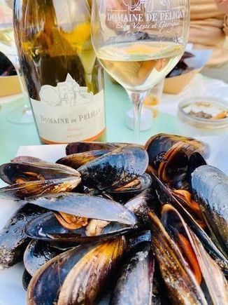 Dans les vignes de l'Hérault (4/4) Pelican, Valmagne, Flaugergues, des domaines et de bons vins… | Mon passeport pour le monde | Gastronomie - Oenotourisme en Languedoc | Scoop.it