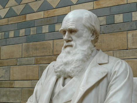 Telling creationists "Hail Darwin" might be fun, but we should be wary of hero worship | ToK Essays Nov 2024 | Scoop.it