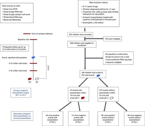 Transcriptome networks identify mechanisms of viral and nonviral asthma exacerbations in children | Allergy (and clinical immunology) | Scoop.it