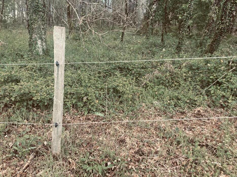 Quels droits pour les promeneurs, entre droit d’accès à la nature et propriété privée ? | Tourisme de randonnées                                                                                                                                                                                 & Sports de nature pour les pros | Scoop.it