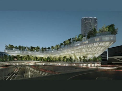 Projet Mille arbres &agrave; Paris : l'annulation du permis confirm&eacute;e | Regards crois&eacute;s sur la transition &eacute;cologique | Scoop.it