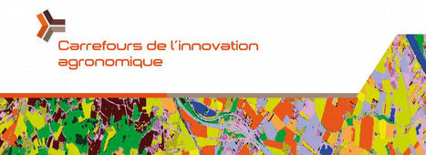 Carrefour de l’innovation agronomique : le spatial au service de la transition agro-écologique – AgroTIC | Pour innover en agriculture | Scoop.it