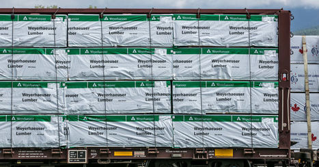 Weyerhaeuser Announces Retirement of CEO Doyle Simons | Timberland Investment | Scoop.it