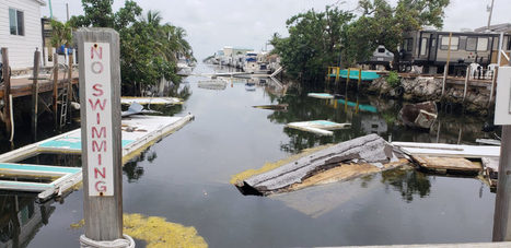 Why the Florida Keys still need support, a year and a half after Hurricane Irma | Coastal Restoration | Scoop.it