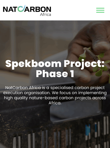 Indigenous Biodiversity: Spekboom Project: Phase 1 - Natcarbon Africa | Biodiversity, Climate Change, Environment, Conservation, Forestry, Fisheries, Oceans and Coasts | Scoop.it