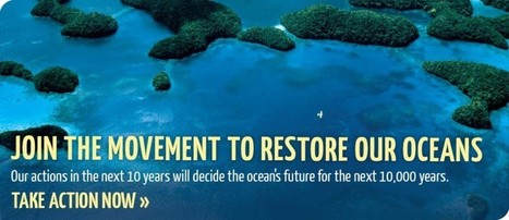 One World One Ocean | OUR OCEANS NEED US | Scoop.it