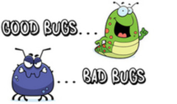 (CAT) - Good bugs… bad bugs! | Paul Filkin | Glossarissimo! | Scoop.it