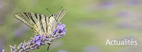 Noé et Ozoir-la-Ferrière s’engagent ensemble pour la protection de l’environnement | Biodiversité | Scoop.it