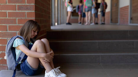 Ikastetxeak ingurune seguruak direla bermatzeko lanean ari dira | Albisteak | Scoop.it