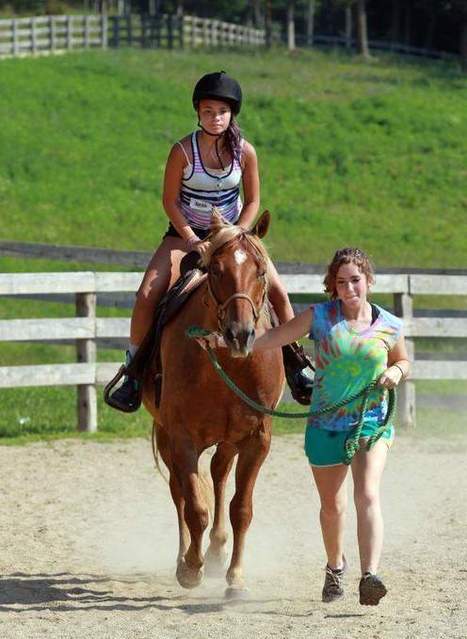 Horses help children heal in Union | Grief & Bereavement Counseling | Scoop.it