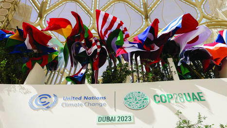 Pope calls world leaders to end divisions to fight climate change - Catholic Standard | The Unseen World | Scoop.it