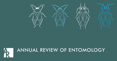 Le sommeil chez les insectes / Sleep in Insects | Annual Review of Entomology | Insect Archive | Scoop.it