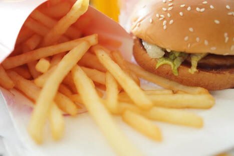 7 Foods High in Saturated Fat To Avoid for Heart Health | The Health Report | Scoop.it