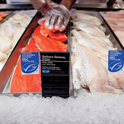 Les français veulent consommer du poisson sauvage dans le futur | Marine Stewardship Council | HALIEUTIQUE MER ET LITTORAL | Scoop.it
