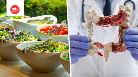 Suolistosy&ouml;v&auml;n riski&auml; voi pienent&auml;&auml; omalla ruokavaliolla &ndash; jo pienill&auml; muutoksilla merkityst&auml; | 1Uutiset - Lukemisen t&auml;hden | Scoop.it